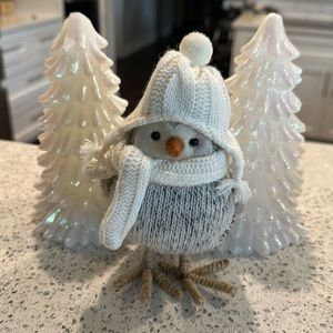 2015 Target WonderShop Fabric Bird Gray Tweed Body White Scarf Earflap Hat